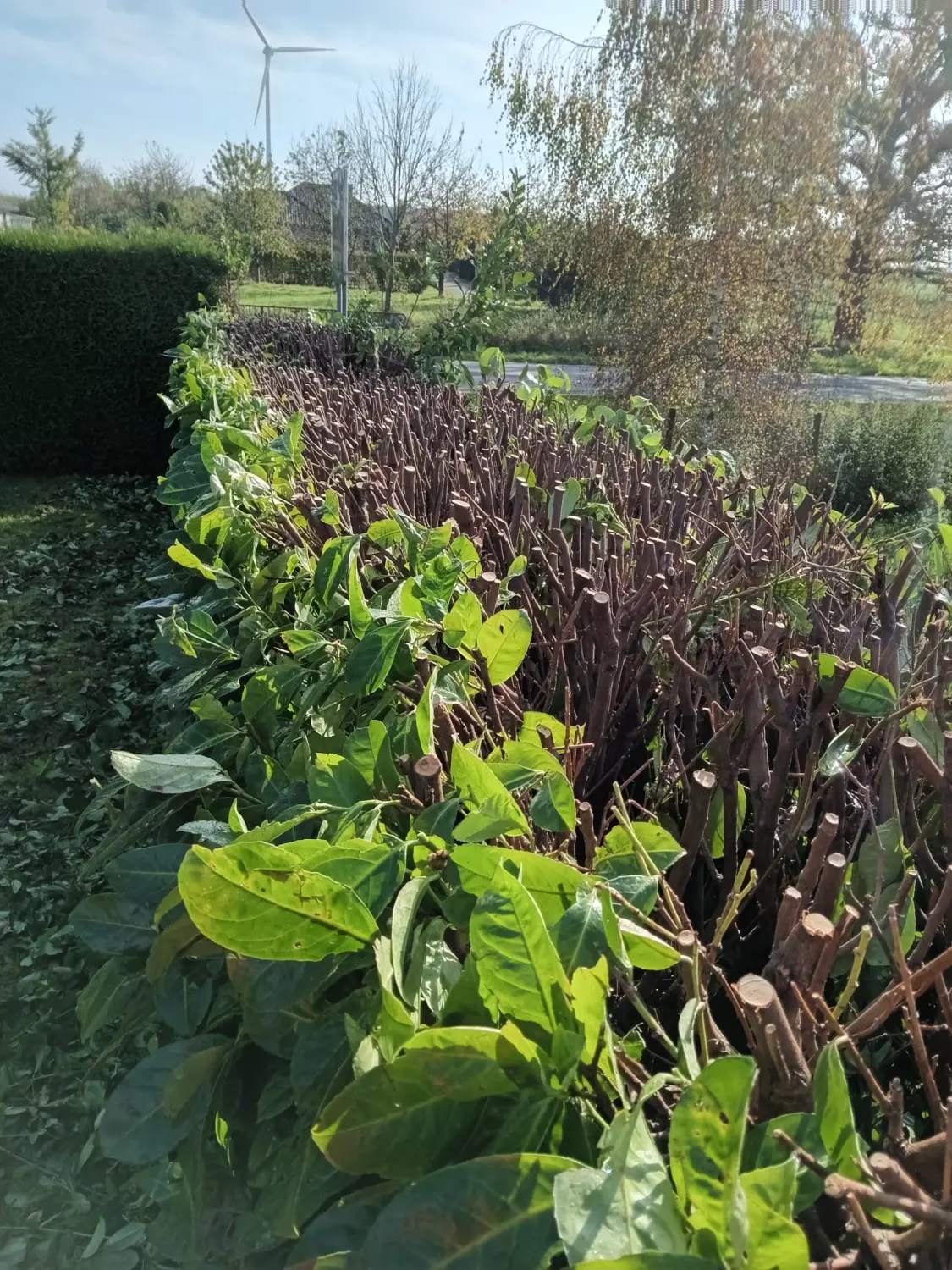 Sebastian Reichstein Gartenbau Pflasterarbeiten