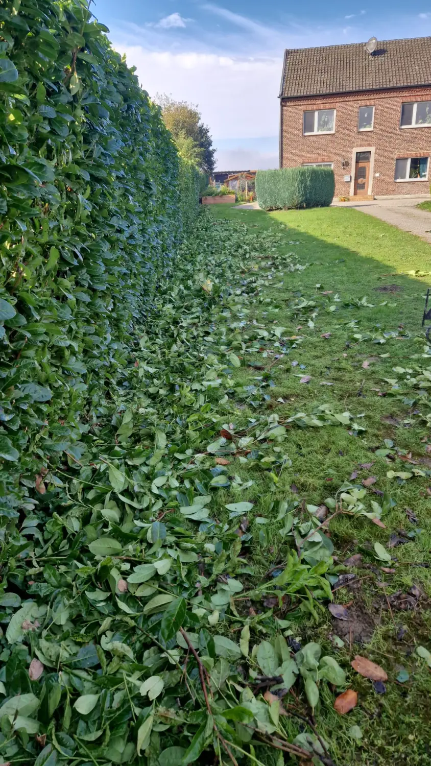 Sebastian Reichstein Gartenbau Pflasterarbeiten